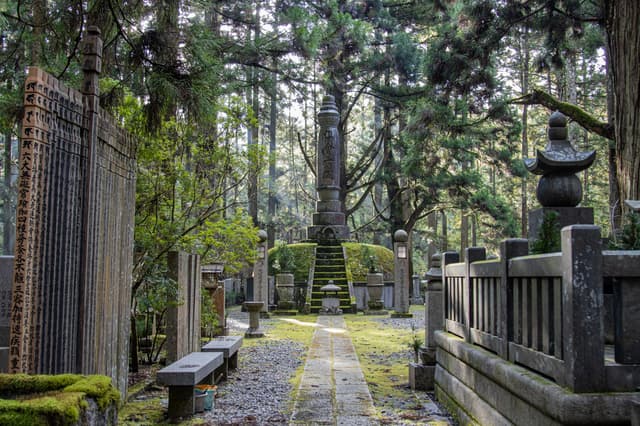 Tumbas cubiertas de musgo y cedros junto al camino del cementerio de Okunoin, Koyasan