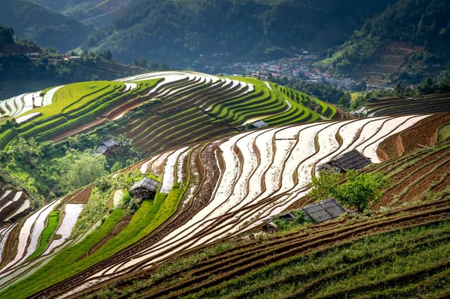 Arrossars en terrasses de Longji a Longsheng, Guangxi, Xina