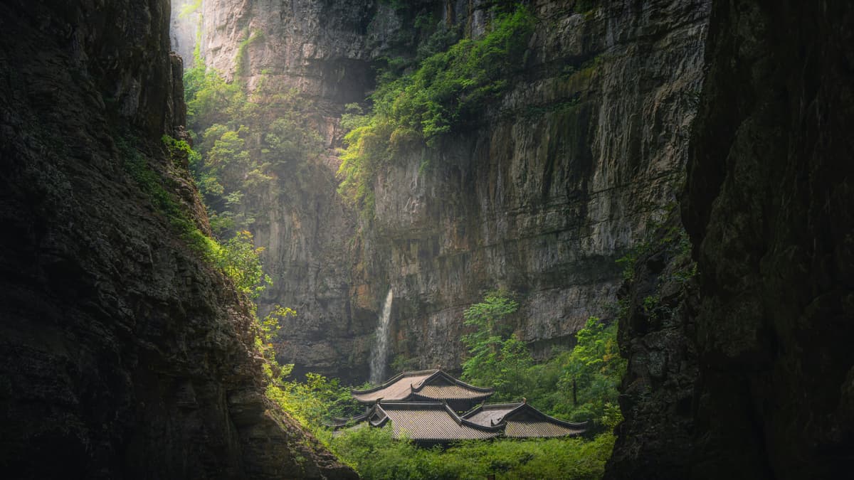Wulong Tour