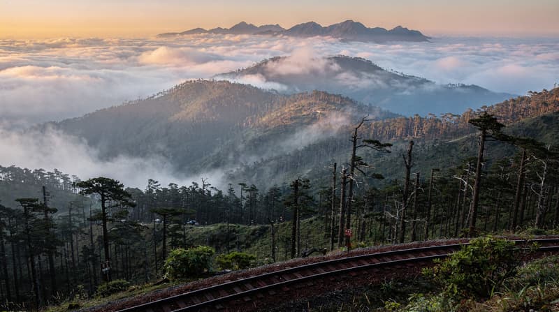 Alishan and Sun Moon Lake: Taiwan's Mountain Interior in 3 Days