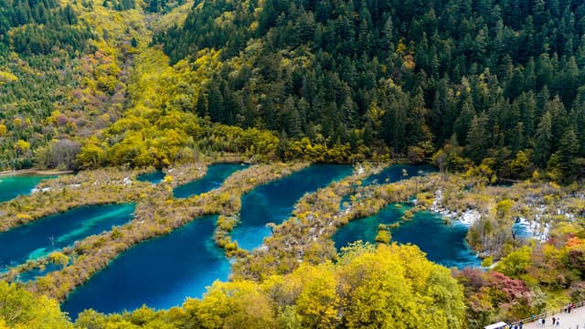 Llacs turquesa de la vall de Jiuzhaigou entre el bosc de tardor, Sichuan, Xina
