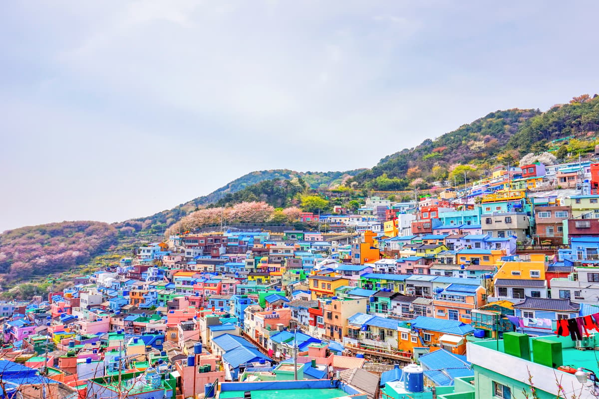 Tour per Busan