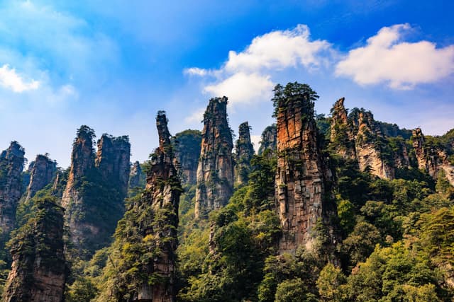 Els alts pilars de gres de Zhangjiajie sota un cel blau