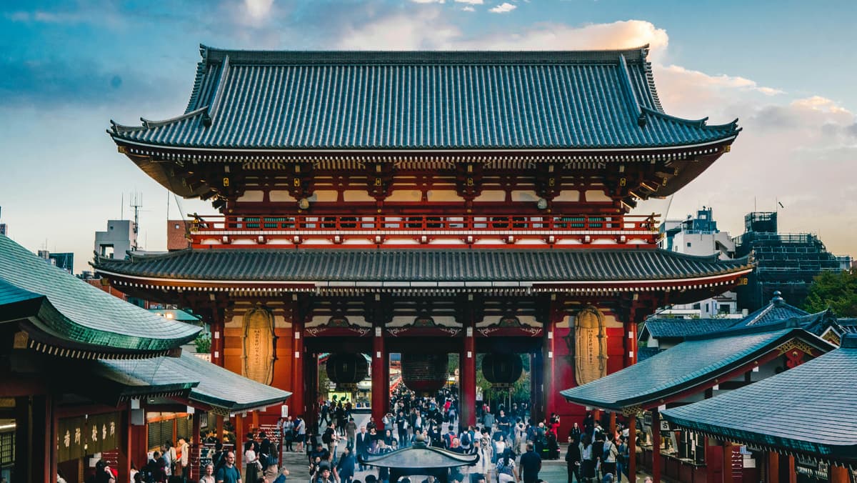 Tokyo City Tour with Guide