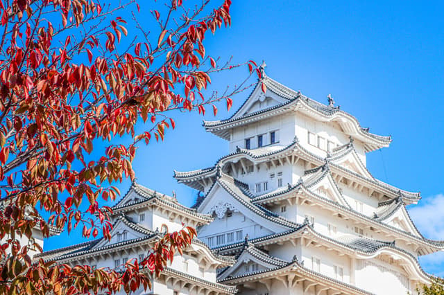La torre blanca del castillo de Himeji enmarcada por hojas rojas de otoño