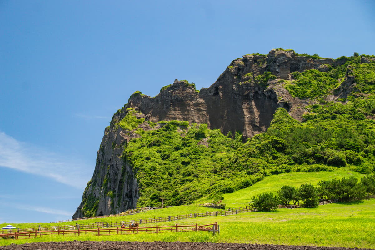 Tour per l'est de Jeju