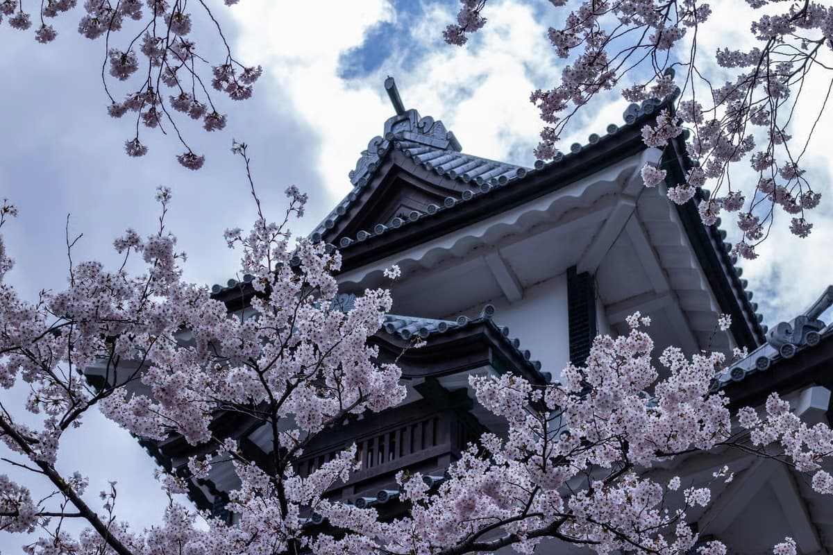 Free Day to Explore Kanazawa